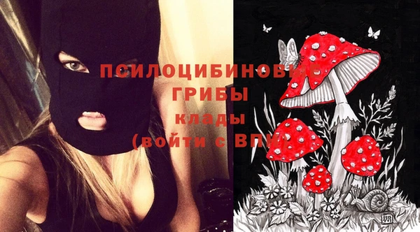 гидропоника Кодинск