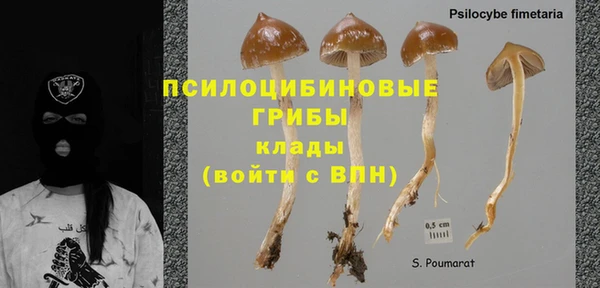 гидропоника Кодинск