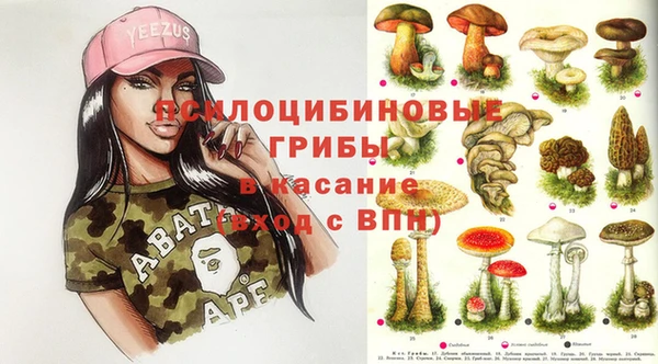 амфетамин Козловка