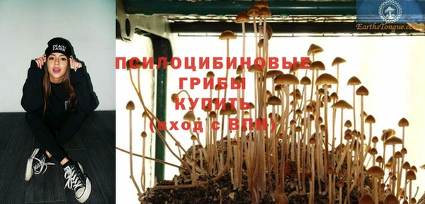 амфетамин Козловка